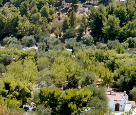 Vieste, campeggio immerso nel verde